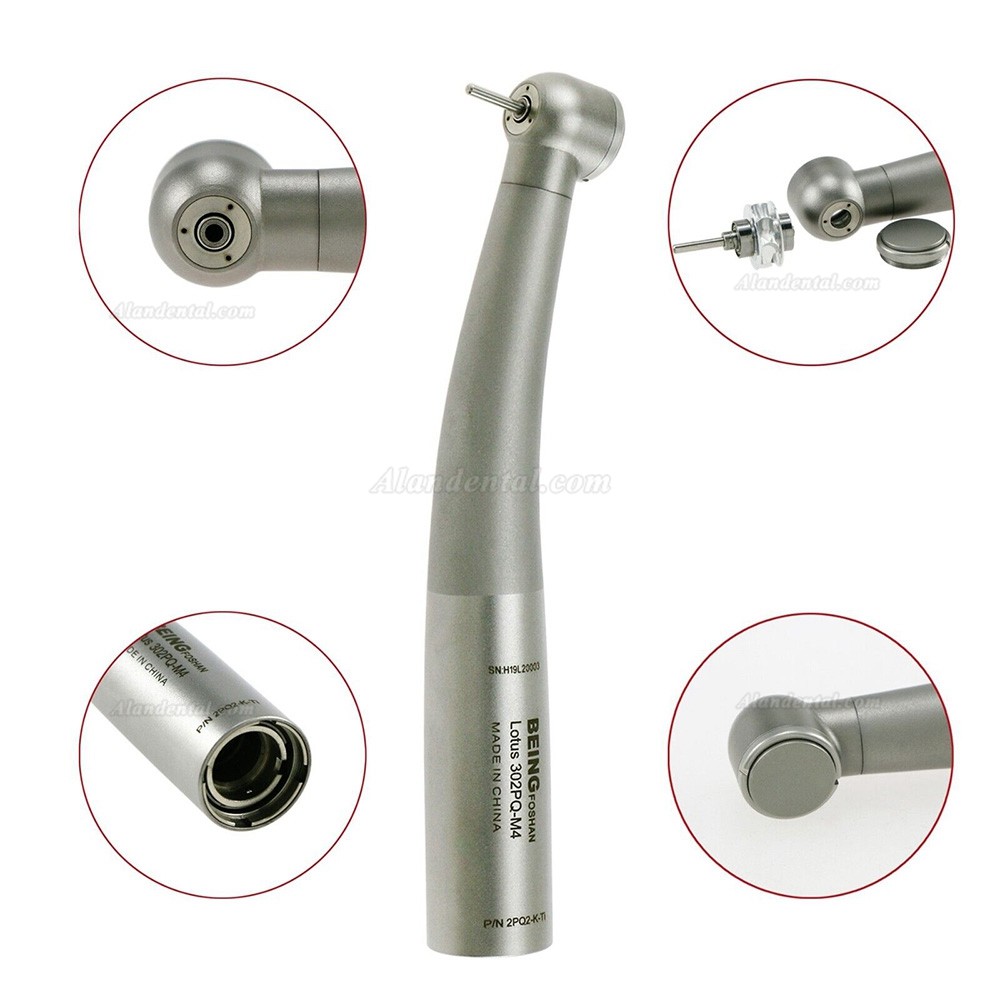 BEING 302PQ-K-Ti Dental Turbine Handpiece (Big Torque Head) Fit KAVO Multiflex Lux